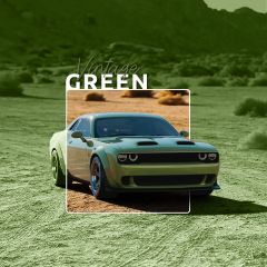 SKINTAC HXONE700 Vintage Green Gloss