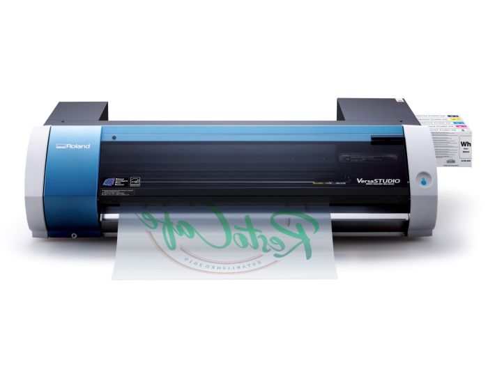 Roland BN2-20A